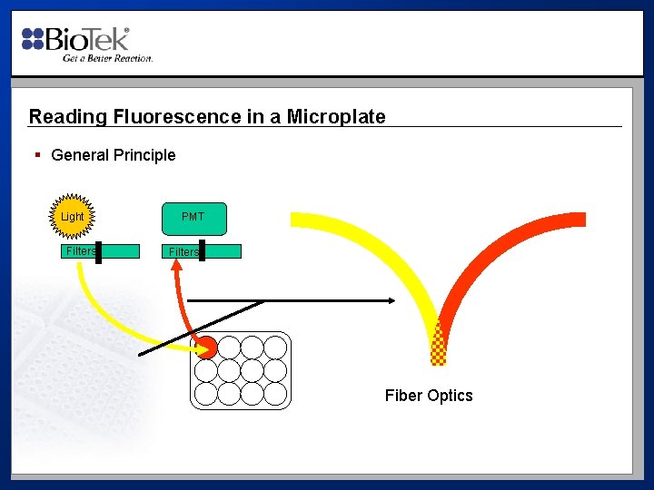 Reading Fluorescence in a Microplate § General Principle Light Filters PMT Filters Fiber Optics