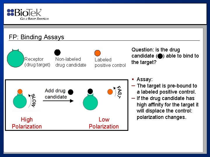 FP: Binding Assays Receptor (drug target) High Polarization Non-labeled drug candidate Labeled positive control