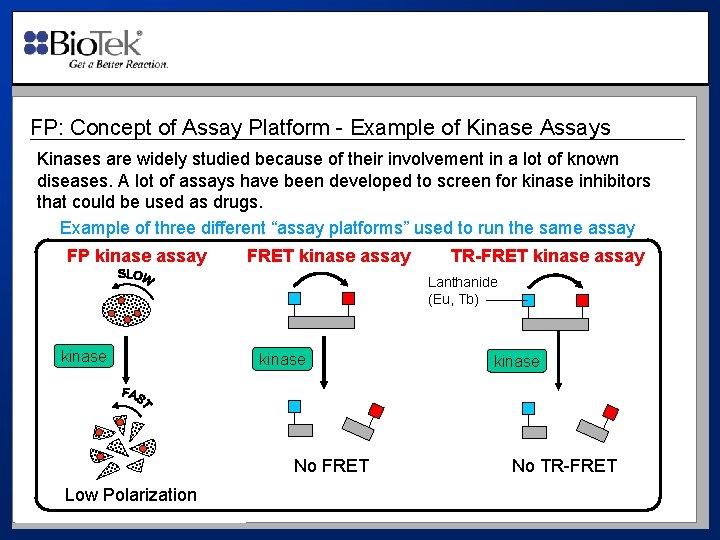 FP: Concept of Assay Platform - Example of Kinase Assays Kinases are widely studied