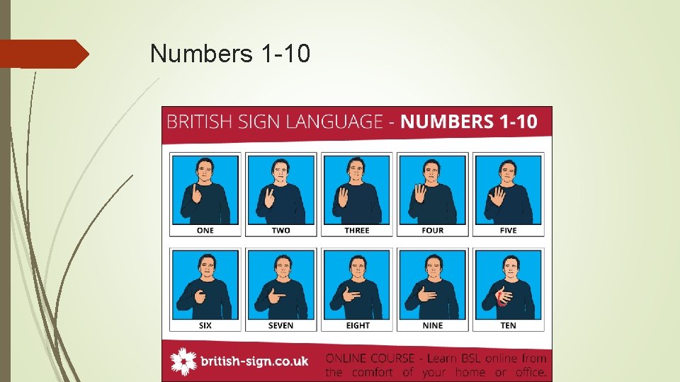 Numbers 1 -10 