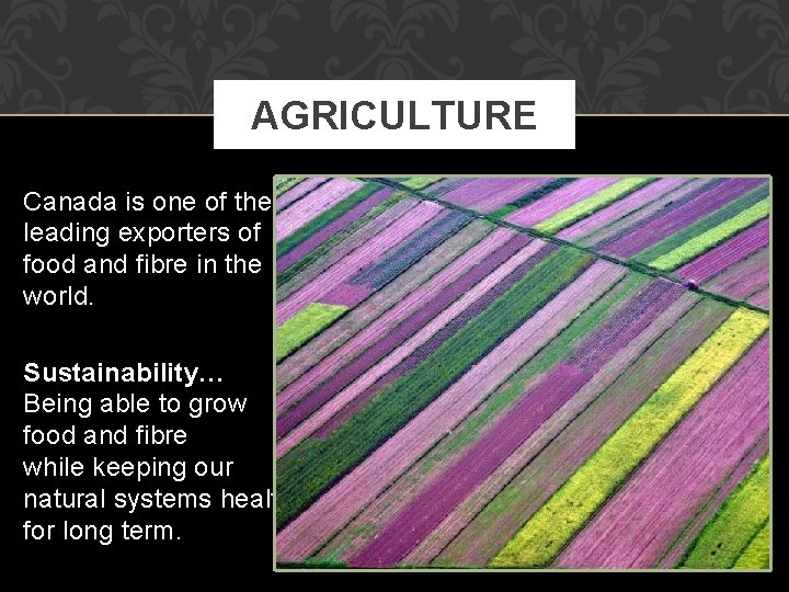 AGRICULTURE Canada is one of the leading exporters of food and fibre in the