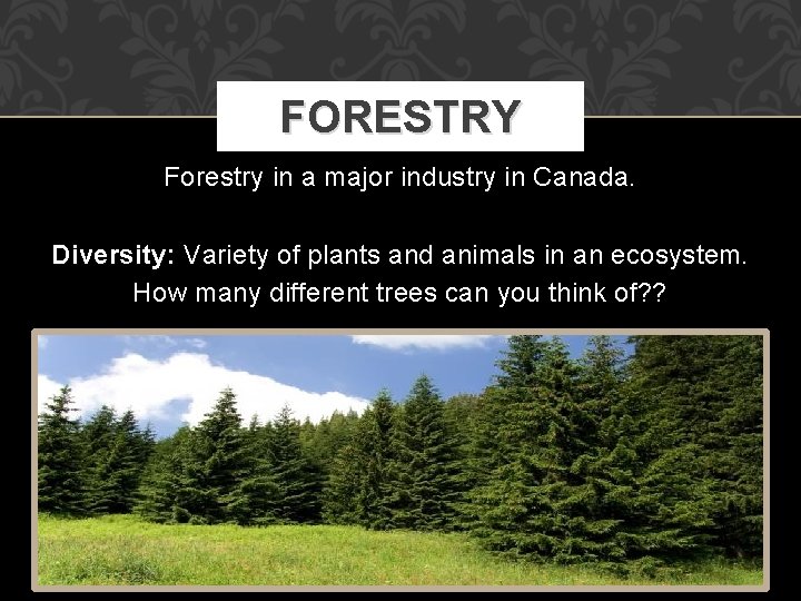 FORESTRY Forestry in a major industry in Canada. Diversity: Variety of plants and animals