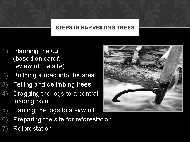 STEPS IN HARVESTING TREES 1) Planning the cut (based on careful review of the