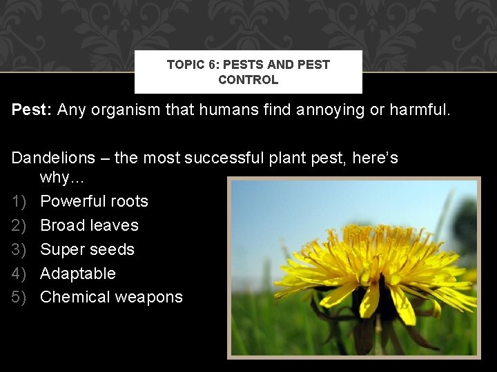 TOPIC 6: PESTS AND PEST CONTROL Pest: Any organism that humans find annoying or