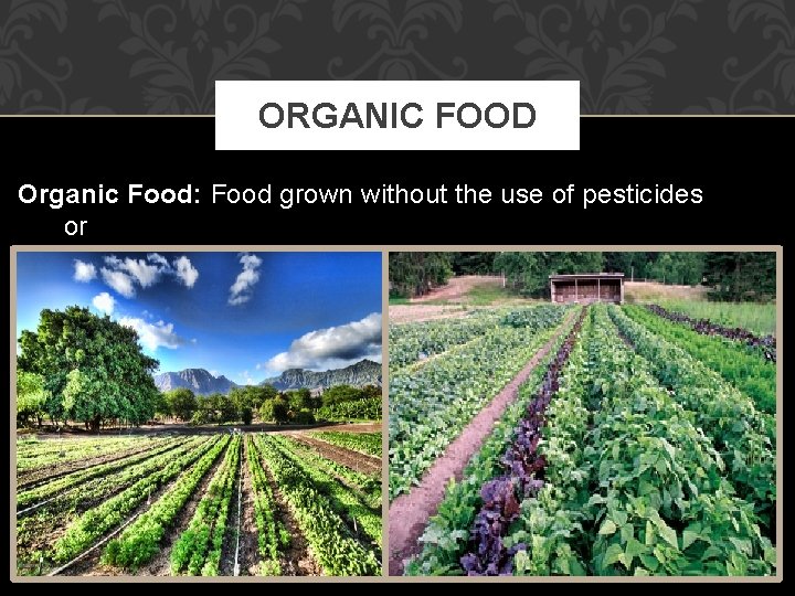 ORGANIC FOOD Organic Food: Food grown without the use of pesticides or chemical fertilizers.