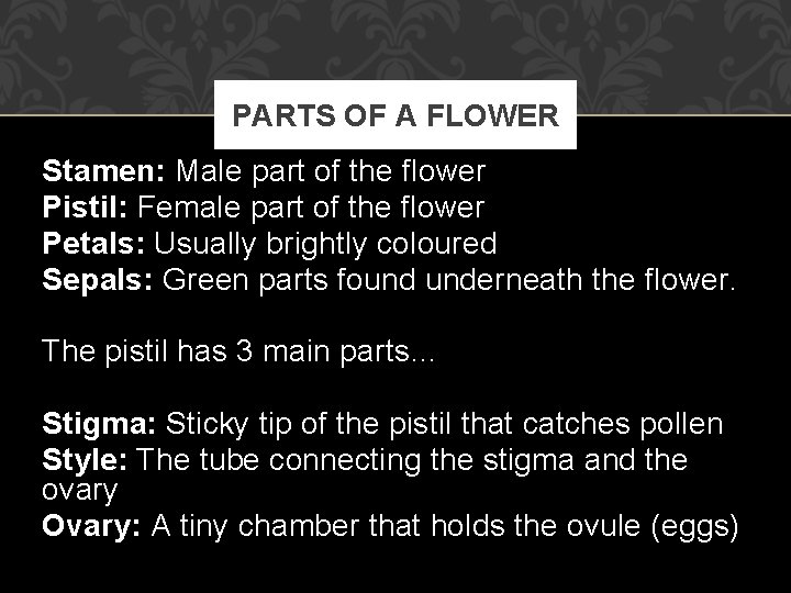 PARTS OF A FLOWER Stamen: Stamen Male part of the flower Pistil: Pistil Female