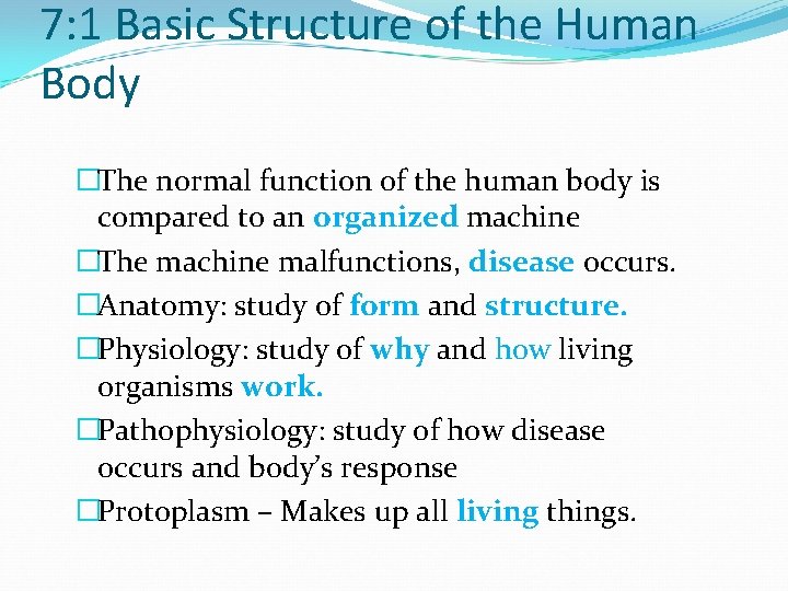 Basic Structure of the Human Body and Parts