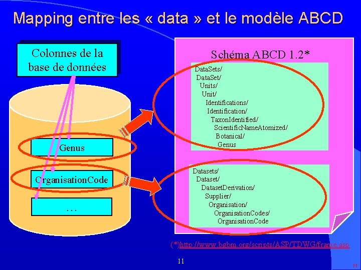 Mapping entre les « data » et le modèle ABCD Colonnes de la base