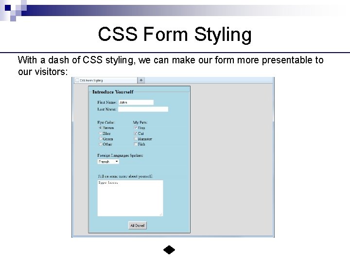 CSS Form Styling With a dash of CSS styling, we can make our form