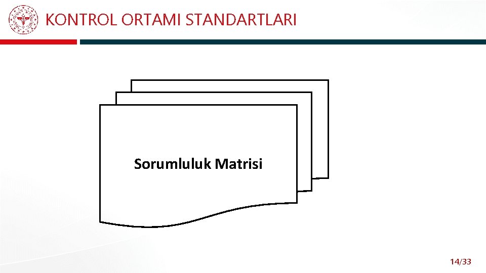 KONTROL ORTAMI STANDARTLARI Sorumluluk Matrisi 14/33 