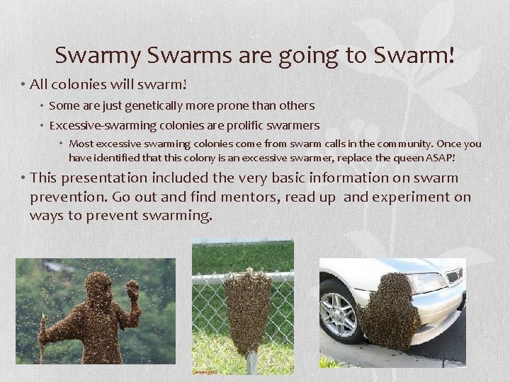 Swarmy Swarms are going to Swarm! • All colonies will swarm! • Some are