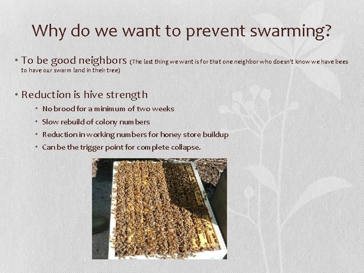 Why do we want to prevent swarming? • To be good neighbors (The last