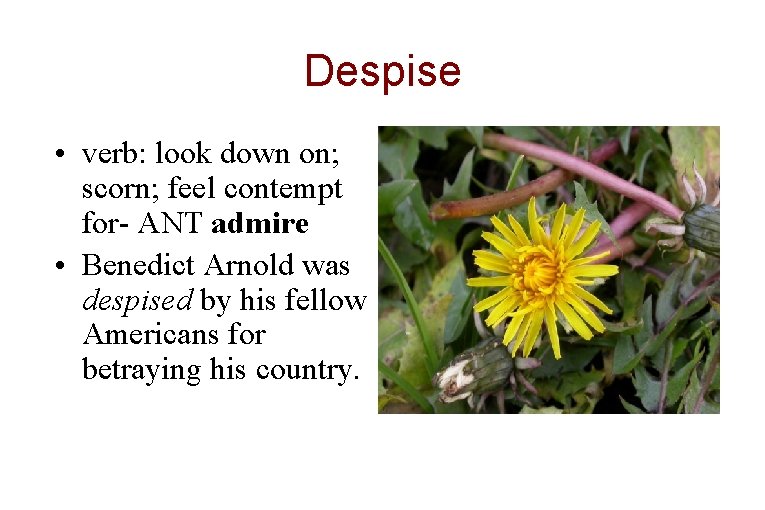 Despise • verb: look down on; scorn; feel contempt for- ANT admire • Benedict