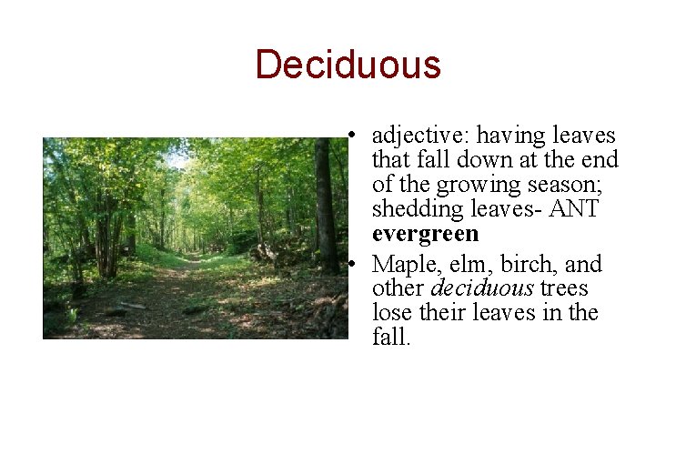 Deciduous • adjective: having leaves that fall down at the end of the growing