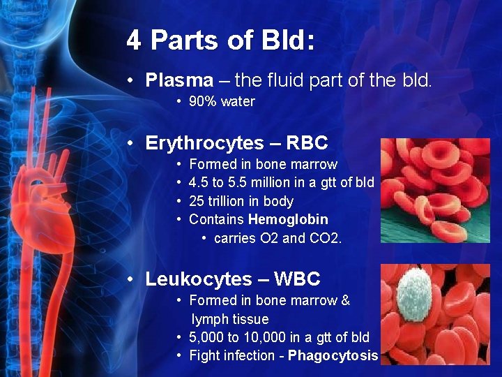 4 Parts of Bld: • Plasma – the fluid part of the bld. •