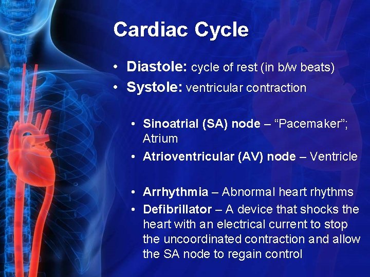 Cardiac Cycle • Diastole: cycle of rest (in b/w beats) • Systole: ventricular contraction