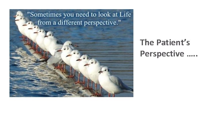 The Patient’s Perspective …. . 