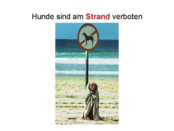 Hunde sind am Strand verboten 