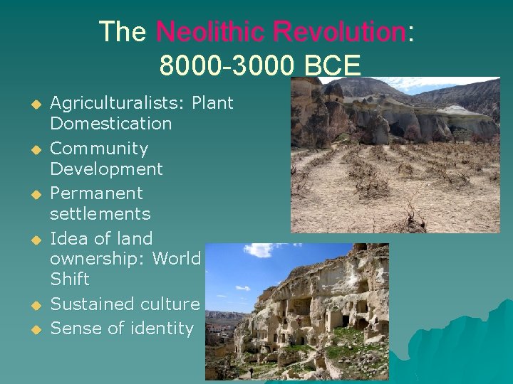 The Neolithic Revolution: 8000 -3000 BCE u u u Agriculturalists: Plant Domestication Community Development