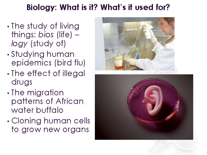 Biology: What is it? What’s it used for? The study of living things: bios