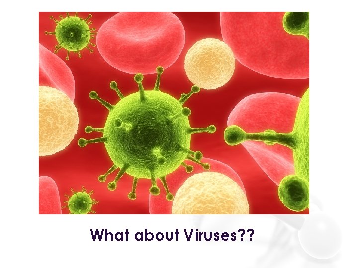 What about Viruses? ? 