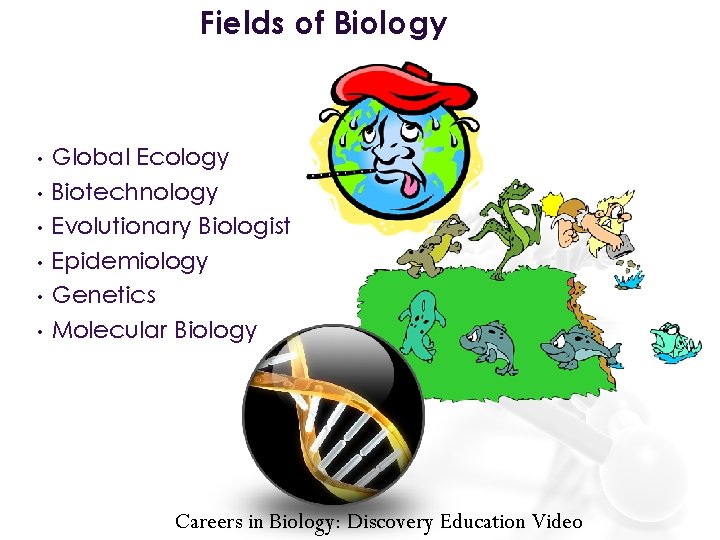 Fields of Biology • • • Global Ecology Biotechnology Evolutionary Biologist Epidemiology Genetics Molecular