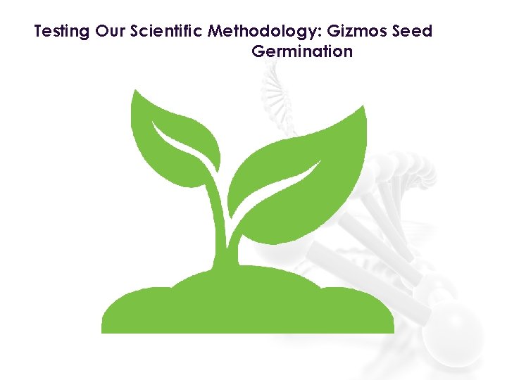 Testing Our Scientific Methodology: Gizmos Seed Germination 