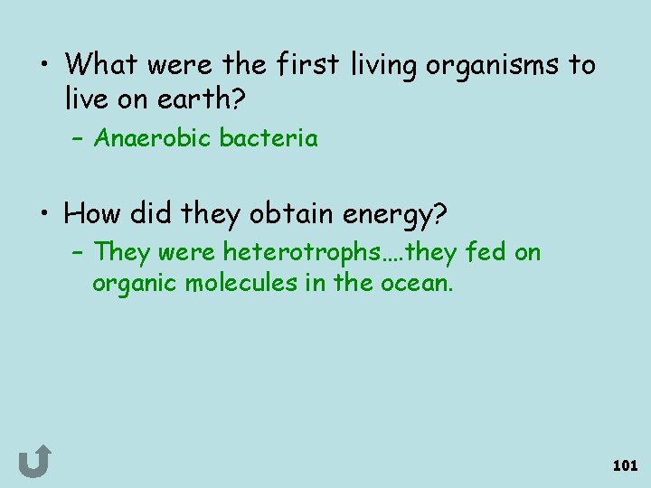  • What were the first living organisms to live on earth? – Anaerobic