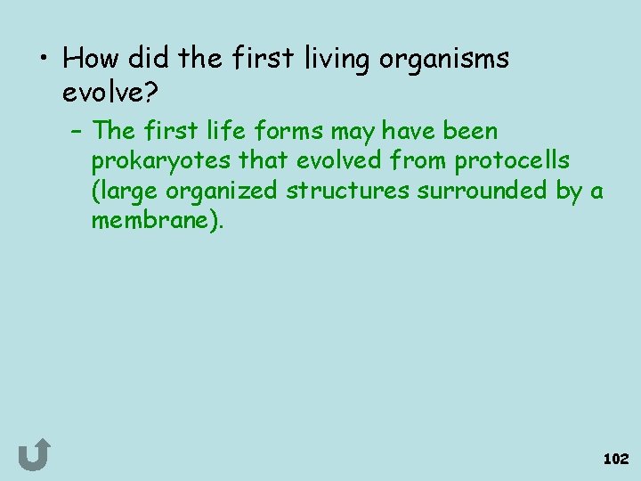  • How did the first living organisms evolve? – The first life forms