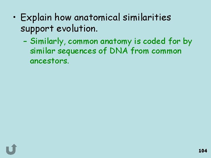  • Explain how anatomical similarities support evolution. – Similarly, common anatomy is coded