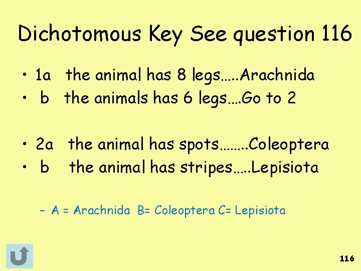 Dichotomous Key See question 116 • 1 a the animal has 8 legs…. .