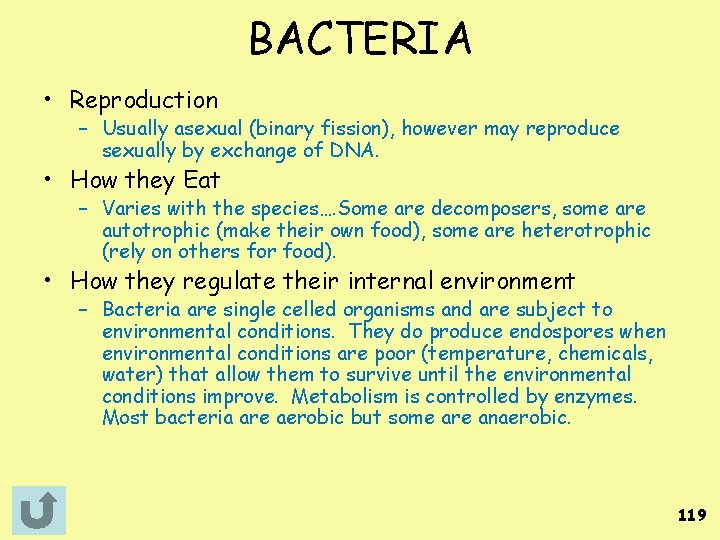 BACTERIA • Reproduction – Usually asexual (binary fission), however may reproduce sexually by exchange