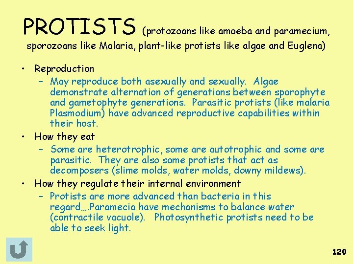 PROTISTS (protozoans like amoeba and paramecium, sporozoans like Malaria, plant-like protists like algae and