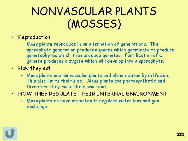 NONVASCULAR PLANTS (MOSSES) • Reproduction – Moss plants reproduce in an alternation of generations.