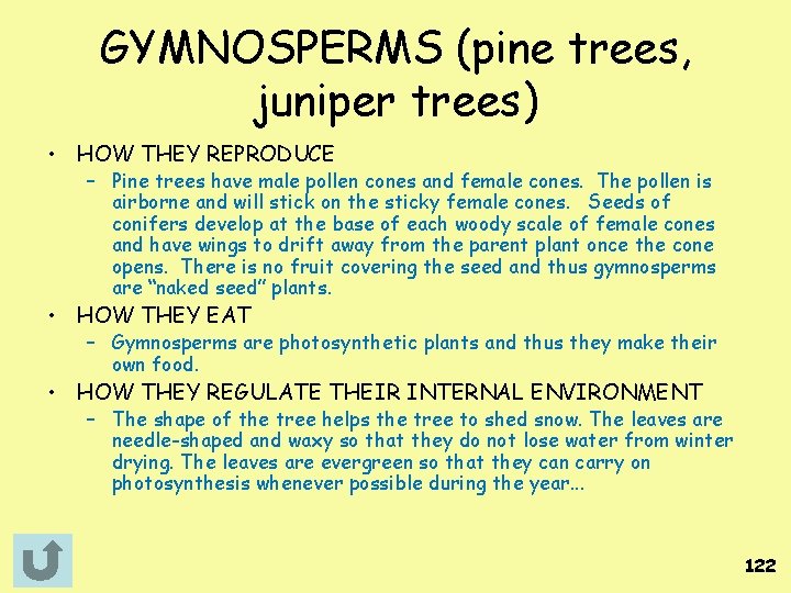 GYMNOSPERMS (pine trees, juniper trees) • HOW THEY REPRODUCE – Pine trees have male