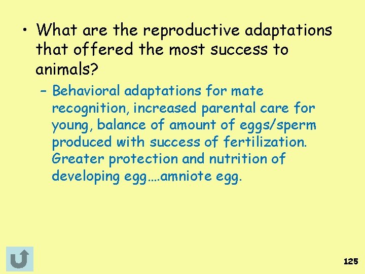  • What are the reproductive adaptations that offered the most success to animals?