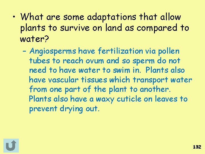  • What are some adaptations that allow plants to survive on land as