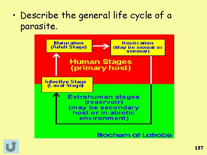  • Describe the general life cycle of a parasite. 137 