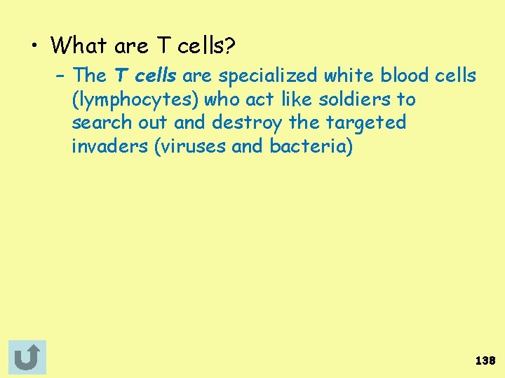  • What are T cells? – The T cells are specialized white blood