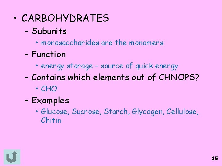  • CARBOHYDRATES – Subunits • monosaccharides are the monomers – Function • energy