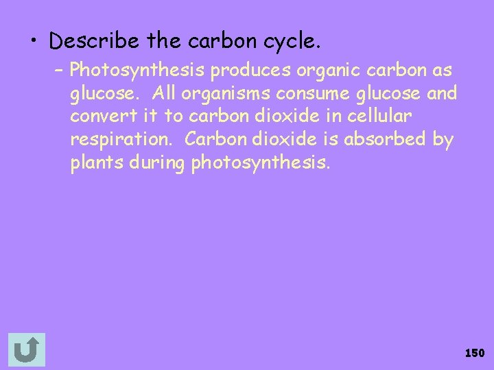  • Describe the carbon cycle. – Photosynthesis produces organic carbon as glucose. All