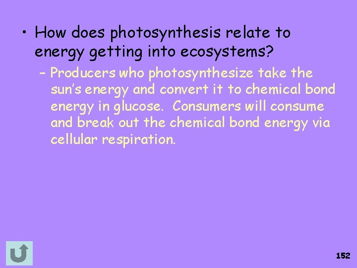  • How does photosynthesis relate to energy getting into ecosystems? – Producers who