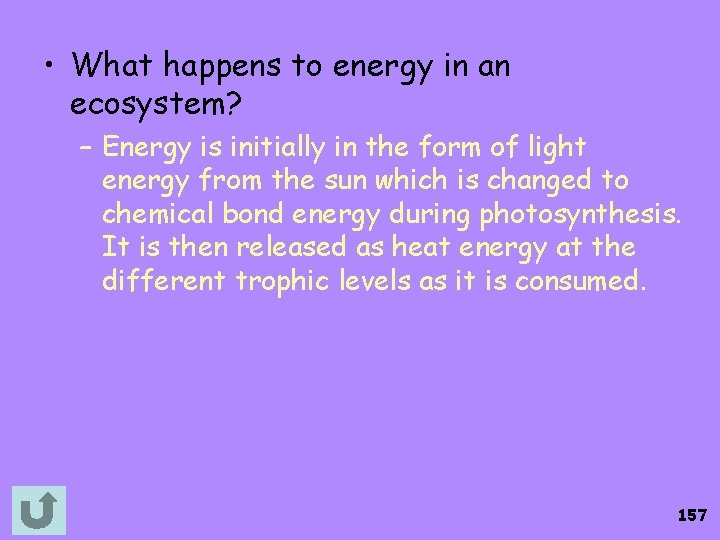  • What happens to energy in an ecosystem? – Energy is initially in