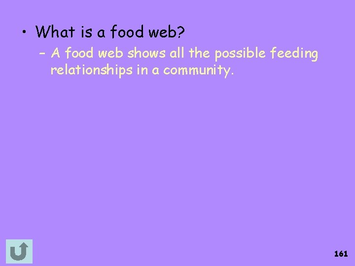  • What is a food web? – A food web shows all the