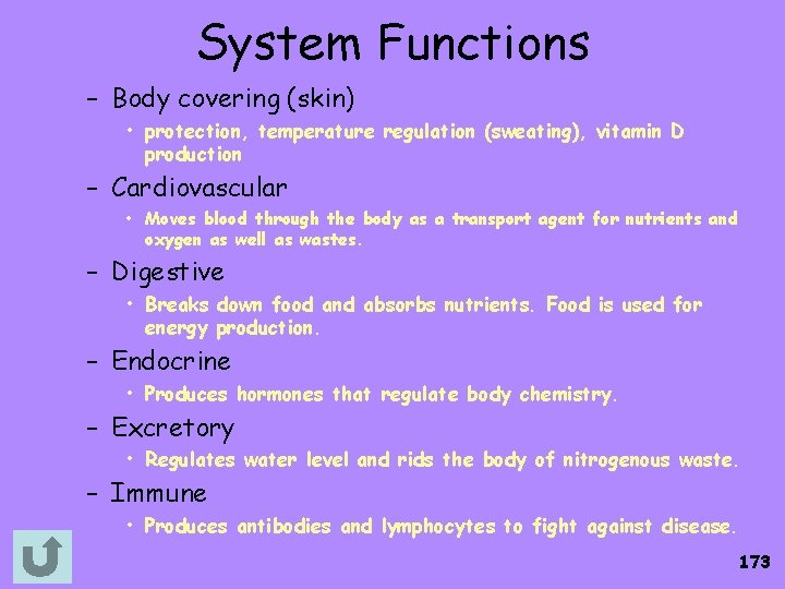 System Functions – Body covering (skin) • protection, temperature regulation (sweating), vitamin D production