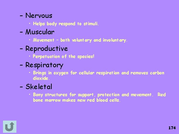 – Nervous • Helps body respond to stimuli. – Muscular • Movement – both