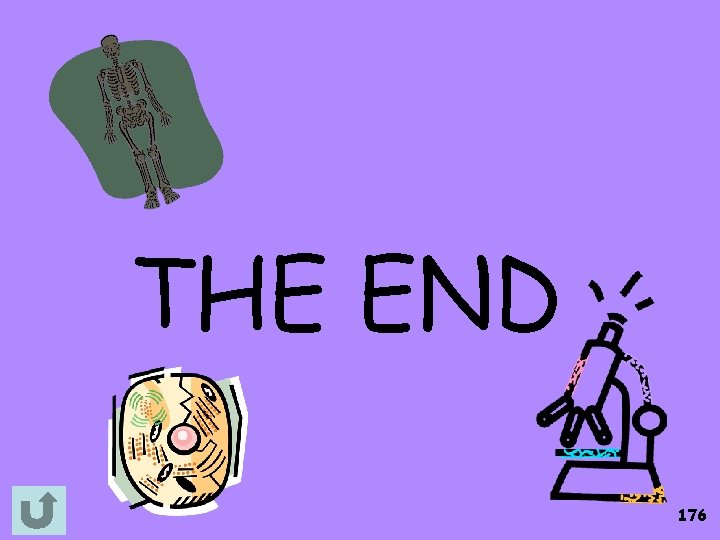 THE END 176 