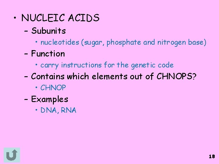  • NUCLEIC ACIDS – Subunits • nucleotides (sugar, phosphate and nitrogen base) –