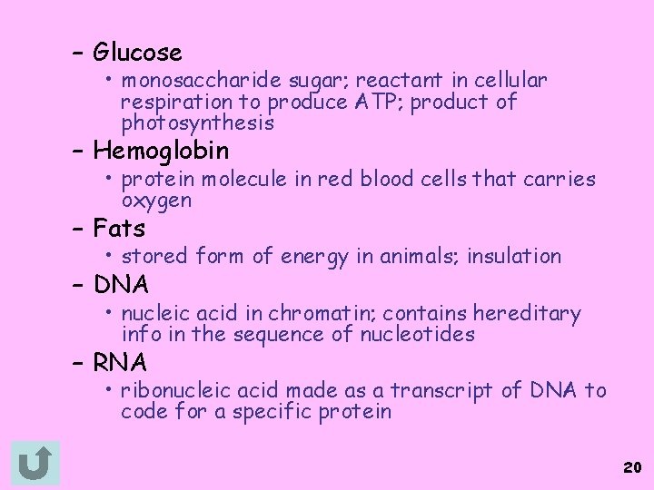 – Glucose • monosaccharide sugar; reactant in cellular respiration to produce ATP; product of