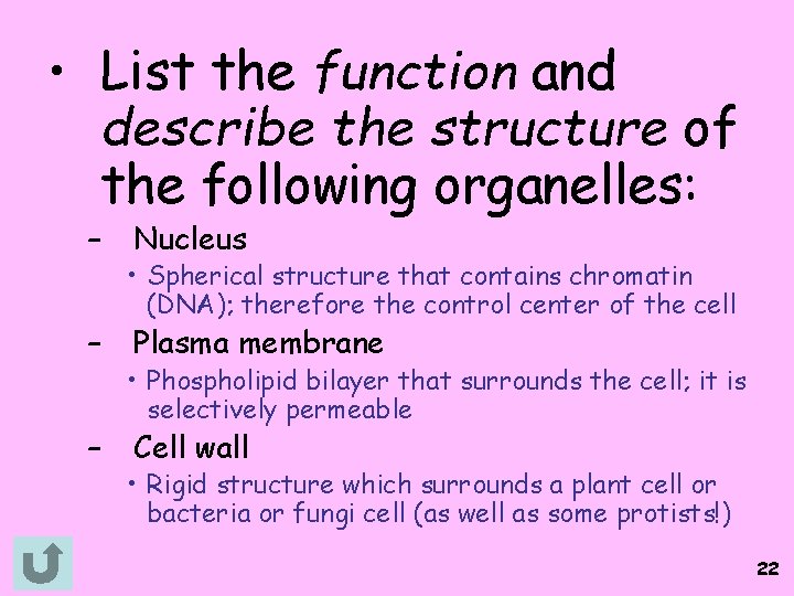  • List the function and describe the structure of the following organelles: –